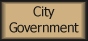 City Government